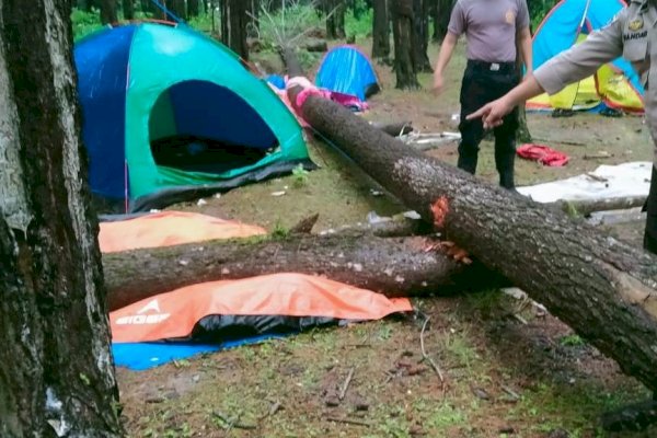 Tragis, 2 Pelajar Asal Makassar Tewas Tertimpa Pohon di Hutan Pinus