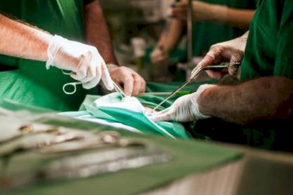 Tidak Mau Bayar Tiket, Pria Ini Lompati Pintu Stasiun Kereta, Jatuh-Leher Patah Tewas