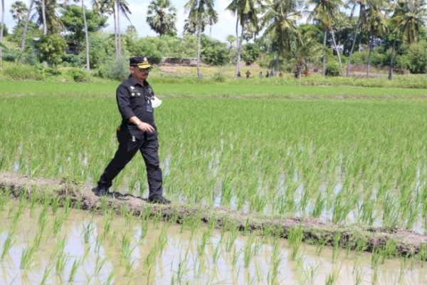 Indonesia Catat Transaksi Ekspor Pertanian 2021 Meningkat, Hingga US$4,24 Miliar