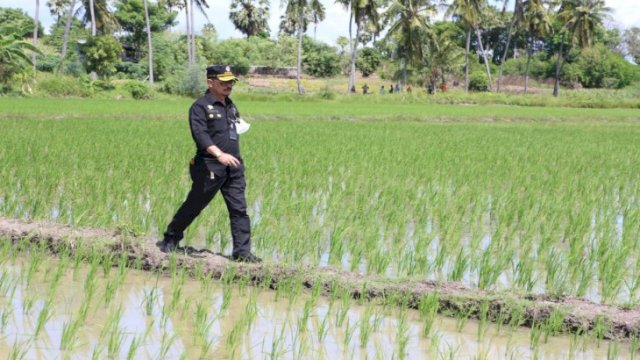 Indonesia Catat Transaksi Ekspor Pertanian 2021 Meningkat.