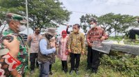 Genjot Produksi Padi, Kementan dan Komisi IV DPR RI Lakukan Pengendalian Hama Tikus