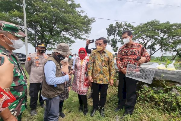 Genjot Produksi Padi, Kementan dan Komisi IV DPR RI Lakukan Pengendalian Hama Tikus