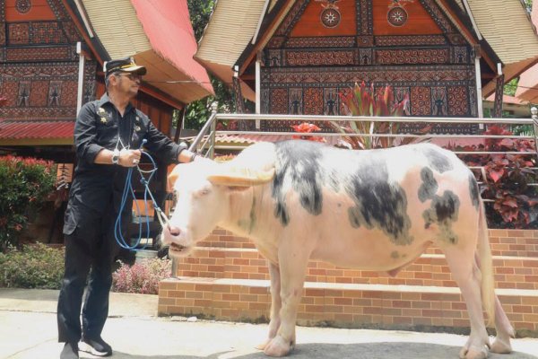 Mentan Syahrul: Toraja Adalah Aset Dunia!