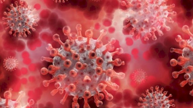 Ilustrasi Kasus Covid-19.(F-INT)