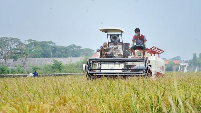 Mentan Syahrul Yasin Limpo.