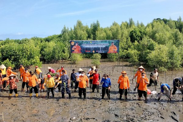 Aksi Penanaman Mangrove Basarnas Sulsel di Untia