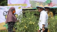 Mentan Ajak Masyarakat Bone Manfaatkan Pekarangan Rumahnya Jadi Lahan Produktif