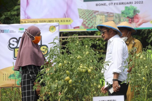 Mentan Ajak Masyarakat Bone Manfaatkan Pekarangan Rumahnya Jadi Lahan Produktif