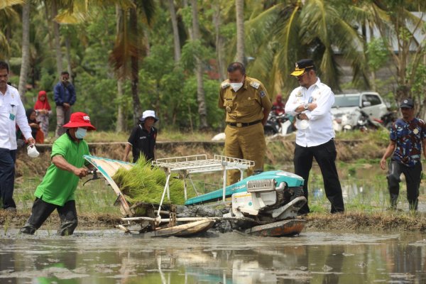 Mentan SYL Dorong Petani Bone Tingkatkan Produksi Padi Dengan IP 400