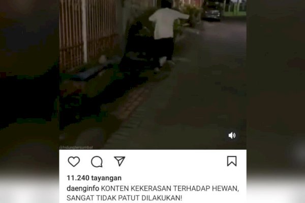 Dengan Raut Wajah Datar, Pemuda Penganiaya Kucing Hanya Demi Konten di Makassar Minta Maaf