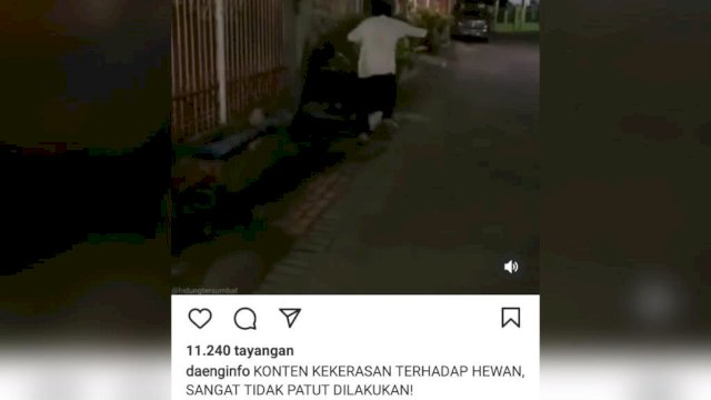 Nampak Pemuda di Makassar layangkan tendangan bertubi-tubi terhadap seekor kucing.