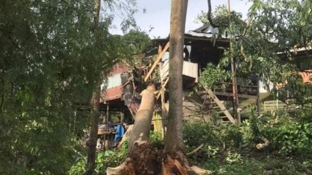 Kasihan! Satu Unit Rumah Warga di Soppeng Sulsel Tertimpa Pohon Tumbang. 