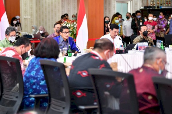 Menko Marves Dorong Afirmasi Produk Dalam Negeri