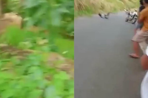 Niat Bergaya Ala Freestyle di Jalan Umum, Eh Motor Sport Pemuda di Gowa Malah Terjun Bebas ke Jurang