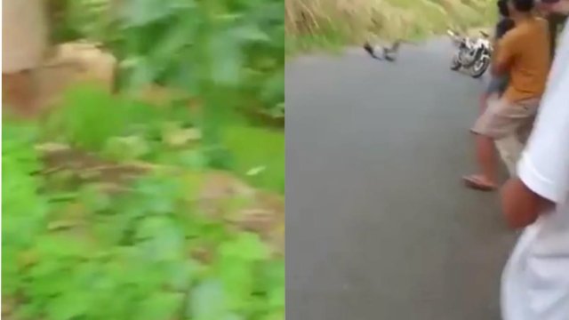 Niat Bergaya Ala Freestyle di Jalan Umum, Eh Motor Sport Pemuda di Gowa Malah Terjun Bebas ke Jurang.