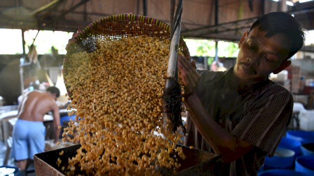Ini 16 Daerah yang Akan Penuhi Kebutuhan Kedelai Nasional.