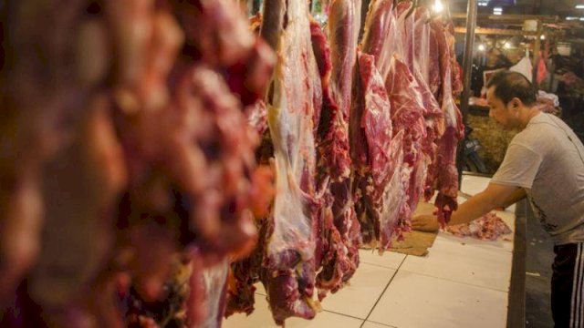 Kementan Tegaskan Stock Daging Sapi/Kerbau Menjelang Ramadhan Hingga Lebaran Aman.(F-INT)