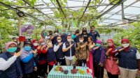 Pemkot Jakarta Timur Galakkan Urban Farming di Jakarta