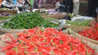 Kementan Yakini Stok Cabai Rawit Jelang HBKN Aman dan Mencukupi