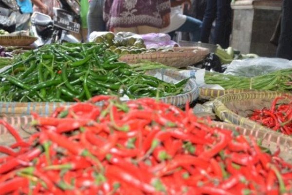 Kementan Yakini Stok Cabai Rawit Jelang HBKN Aman dan Mencukupi