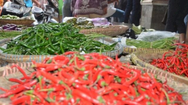 Kementan Yakini Stok Cabai Rawit Jelang HBKN Aman dan Mencukupi.