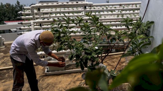 Pemkot Jaktim Sebut Langkah Kementan Bangun Urban Farming Dianggap Tepat.