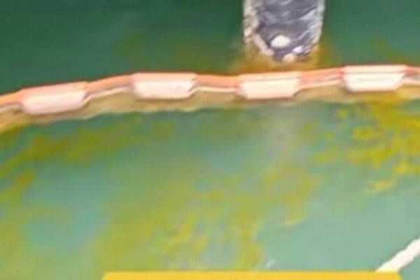 Polisi Usut Minyak Goreng 2.500 Ton Tumpah di Laut