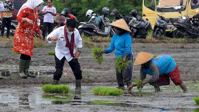 Begini Cara Kementan Tingkatkan Produksi Lewat Budidaya Padi Ramah Lingkungan.