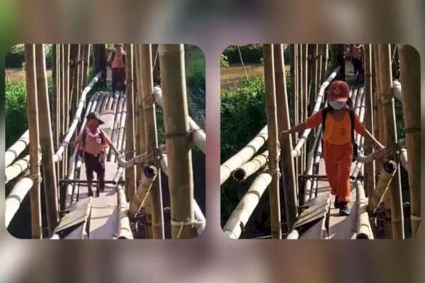Lapor Pak Bupati Toraja Utara! Jembatan Bambu yang Dilalui Ratusan Siswa SDN 6 Balusu Nyaris Ambruk, Kapan Diperbaiki?