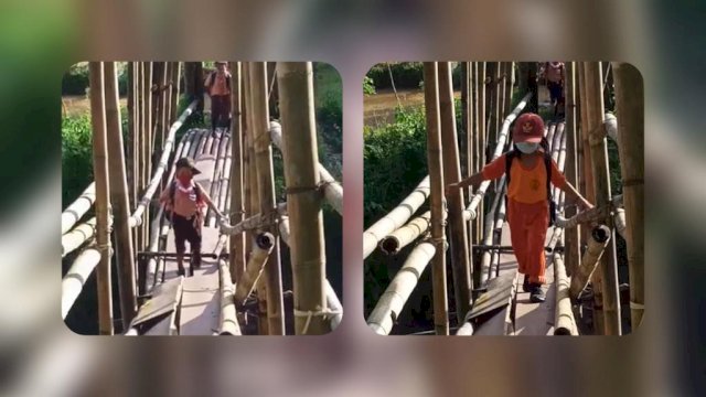 Ratusan Siswa SDN 6 Balusu Toraja Utara, Lalui Jembatan Bambu yang nyaris Ambruk.