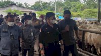 Kunjungi Peternakan Sapi di Deli Serdang, Mentan SYL Pastikan Stock Sapi Siap Potong di Sumut dan Aceh Aman