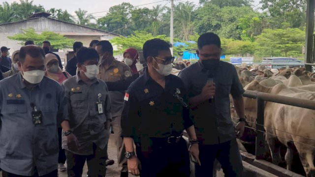 Mentan Syahrul Yasin Limpo Kunjungi Peternakan Sapi di Deli Serdang.