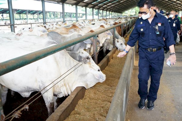 Stock Daging Sapi Cukup dan Pedagang Daging Berjualan Seperti Biasa