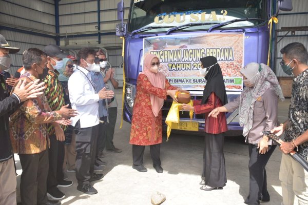 Stabilisasi Harga Jagung, Kementan dan Pemda Bima Kirim Jagung ke Surabaya 2.600 Ton