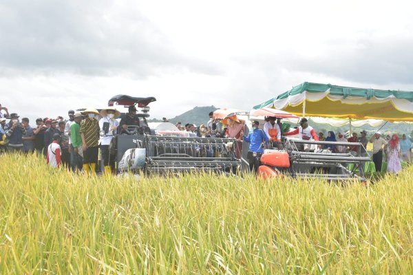 Kementan Canangkan Pertanaman Perdana IP400 di Kabupaten Bima