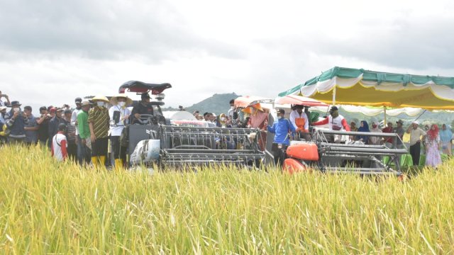 Kementan Canangkan Pertanaman Perdana IP400 di Kabupaten Bima.