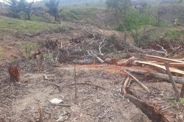 Aliansi Pemerhati Rakyat Minta Konflik Agraria di Maiwa Enrekang Sulsel Diperhatikan