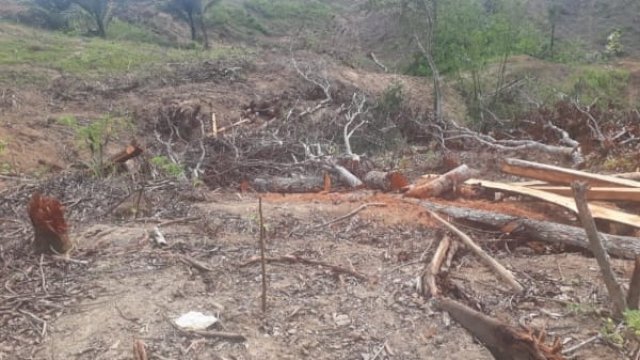 Kondisi salah satu lahan warga di Kabupaten Enrekang (F-INT)