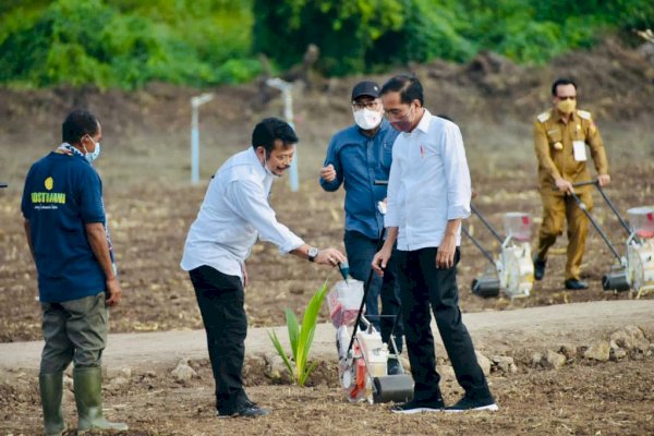 Presiden Jokowi dan Mentan SYL Tanam Jagung di Kawasan Food Estate Belu NTT