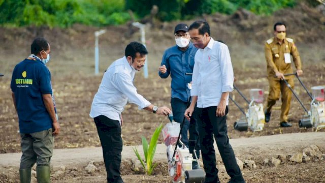 Presiden Jokowi dan Mentan SYL Tanam Jagung di Kawasan Food Estate Belu NTT.