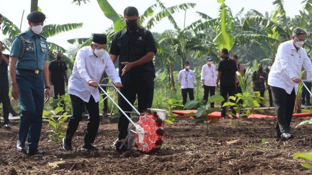 Wapres Ajak Masyarakat Bertani Dengan Konsep Integrated Farming.