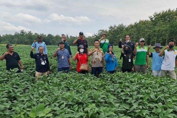 Grobogan Ditargetkan Mampu Suplai Kebutuhan Benih Kedelai Nasional 24 februari 2022