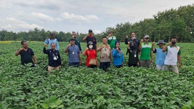 Grobogan Ditargetkan Mampu Suplai Kebutuhan Benih Kedelai Nasional.