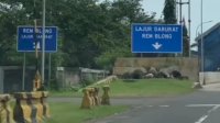 Ngeri, Lajur Darurat Rem Blong di Tol Bogor, Netizen: Mobil Sama Jantung Berhenti Barengan