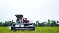 Produksi Beras 2021 Melebihi Konsumsi, dan Panen Januari-April 2022 14,6 Juta Ton Beras
