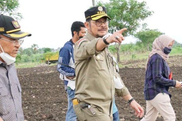 Mentan SYL Kejar Tanam Jagung di Jeneponto