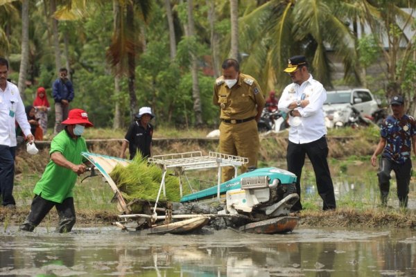 Kementan Gunakan Teknik Ini untuk Tingkatkan Budi Daya Padi IP400