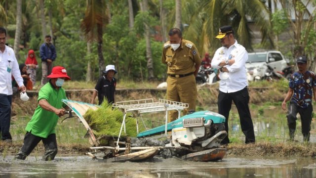 Kementan Gunakan Teknik Ini untuk Tingkatkan Budi Daya Padi IP400.