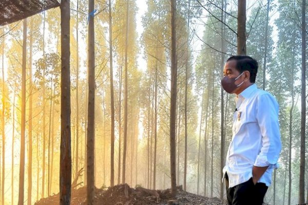 Jokowi: Ini Pekerjaan yang Raksasa Besarnya, jadi Butuh Waktu 15-20 Tahun Membangun IKN