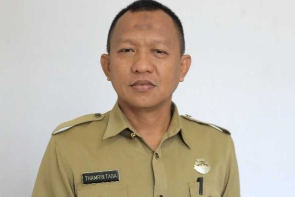 Ingat, Bangun Perumahan di Pangkep Wajib Sediakan 30 Persen RTH